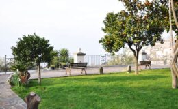 Scenic park view featuring lush green grass, benches under trees, and a railing overlooking a distant landscape. Ideal for relaxation and enjoying nature.