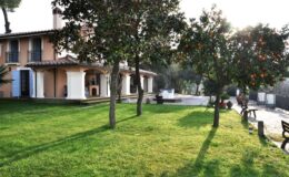 Charming villa with lush green lawn and orange trees, featuring a spacious patio and outdoor seating area, bathed in warm sunlight.