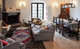 Cozy living room featuring a fireplace, comfortable gray sofas, a decorative rug, and a dining area with wooden chairs and a table, illuminated by natural light from large windows.