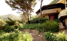 A serene hillside home surrounded by lush greenery and trees, featuring a stone path leading to the entrance, with mountains in the background. Ideal for nature lovers seeking a peaceful retreat.