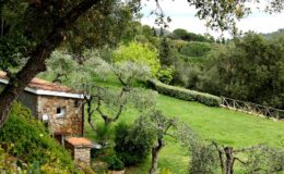 Scenic view of a rustic stone house surrounded by lush greenery and olive trees, set in a tranquil landscape with rolling hills and a wooden fence in the background.