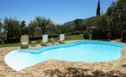 Luxurious outdoor swimming pool surrounded by lush greenery and lounge chairs under a clear blue sky, perfect for relaxation and leisure.