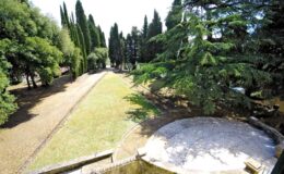 Scenic view of a landscaped park featuring tall cypress trees, a grassy area, and a circular stone platform, ideal for outdoor activities and relaxation.