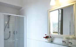 Modern bathroom featuring a glass shower enclosure, a stylish mirror with a golden frame, and a minimalist design with white walls and a small flower arrangement on the countertop.