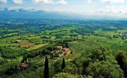 Panoramic view of lush green Italian countryside with rolling hills, vineyards, and a distant mountain range under a partly cloudy sky. The landscape features a mix of farmland and trees, showcasing the natural beauty of the region.