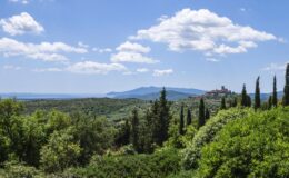  | Only on SopranoVillas