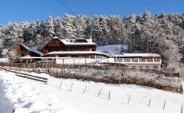 Snow-covered mountain lodge surrounded by pine trees, featuring a rustic design and a clear blue sky. Ideal winter getaway location with a peaceful atmosphere.