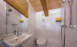 Modern bathroom with a shower, sink, and toilet under a wooden ceiling, featuring white tiled walls and neatly arranged toiletries.