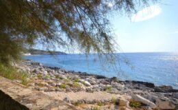 Scenic coastal view featuring rocky shoreline, clear blue water, and lush greenery along the beach. Ideal for nature lovers and travel enthusiasts.