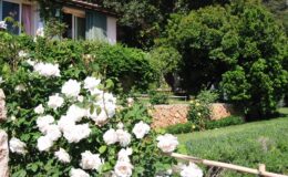  | Only on SopranoVillas