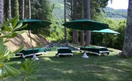 Lush outdoor lounging area featuring green umbrellas and sunbeds by a swimming pool, surrounded by tall trees and scenic hills. Ideal for relaxation and leisure in nature.