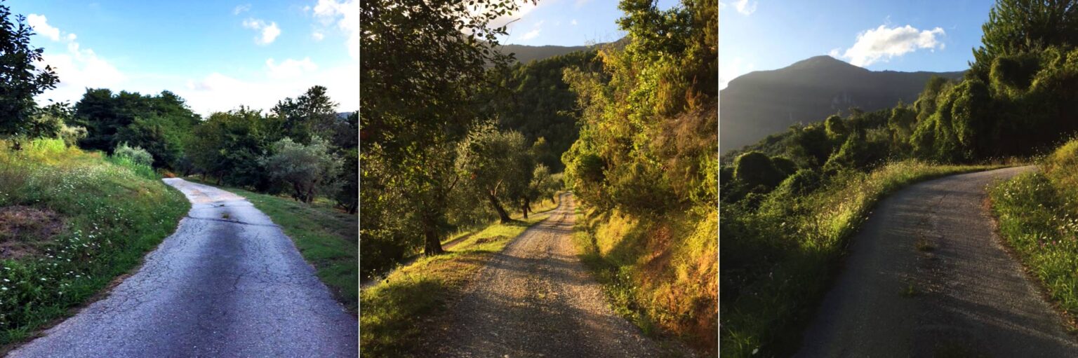 Scenic walking paths surrounded by lush greenery and mountains during golden hour, showcasing the beauty of nature and inviting outdoor exploration. | Only on SopranoVillas