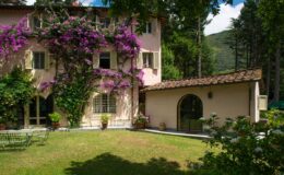 Charming pink villa with blooming bougainvillea, surrounded by lush greenery and a well-maintained garden, showcasing a peaceful outdoor space in a scenic landscape.