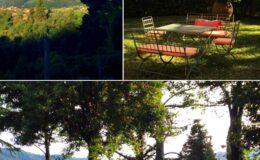 Scenic outdoor setting featuring a lush green landscape, a cozy seating area with orange cushions, and tall trees providing shade, ideal for relaxation and leisure activities.
