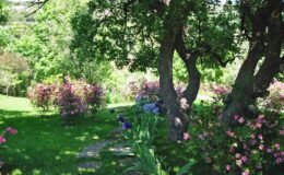  | Only on SopranoVillas