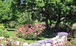  | Only on SopranoVillas