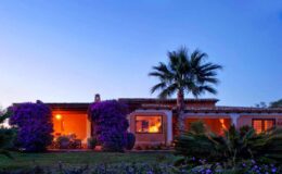 Charming exterior of a Mediterranean-style home surrounded by vibrant bougainvillea and palm trees, showcasing warm evening lighting and lush landscaping.
