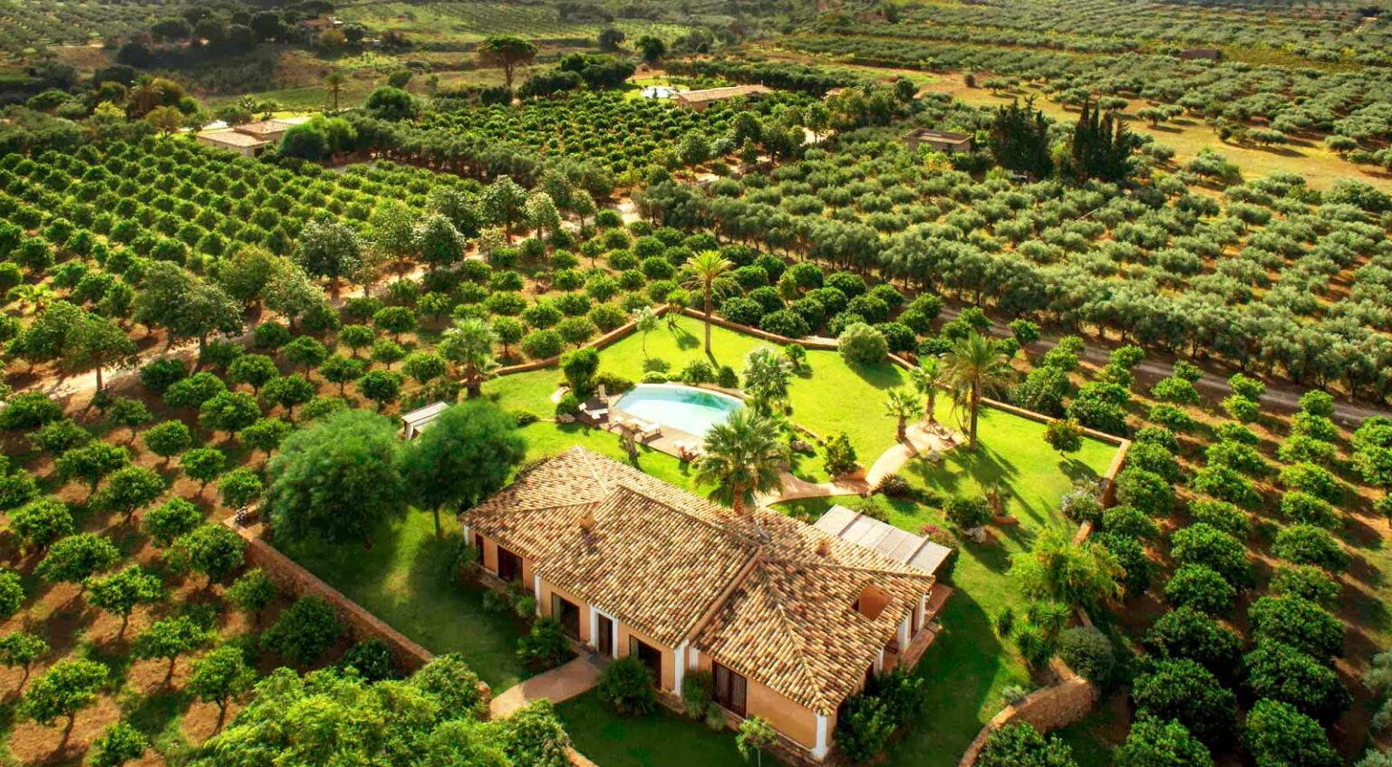 Aerial view of a charming farmhouse surrounded by lush green orchards and a swimming pool, showcasing a serene rural landscape ideal for relaxation and nature lovers. | Only on SopranoVillas