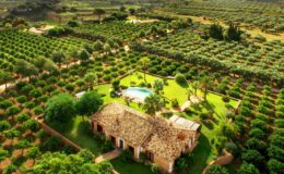 Aerial view of a charming farmhouse surrounded by lush green orchards and a swimming pool, showcasing a serene rural landscape ideal for relaxation and nature lovers.