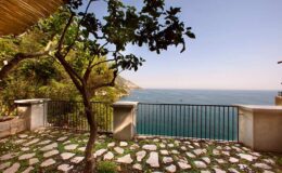 Scenic coastal view from a terrace with a stone pathway and a tree, overlooking the tranquil blue sea and distant hills. Ideal for vacation rentals or seaside retreats.