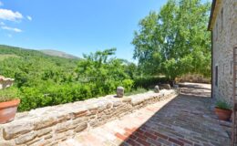 Scenic view of a stone pathway lined with potted plants, leading to lush greenery and hills under a clear blue sky. Ideal for showcasing outdoor living spaces in a countryside setting.