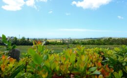  | Only on SopranoVillas