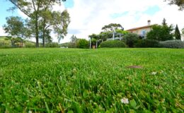  | Only on SopranoVillas
