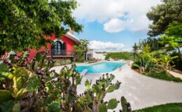 Scenic backyard with a swimming pool, surrounded by lush greenery and cacti, featuring a vibrant red house under a blue sky with fluffy clouds. Ideal for relaxation and outdoor activities.