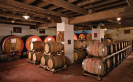 Wine cellar interior featuring wooden barrels stacked neatly on racks, with a rustic wooden ceiling and soft lighting, creating an atmosphere ideal for aging wine.