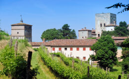 Historic village landscape featuring a vineyard, traditional buildings, and ancient towers under a clear blue sky.
