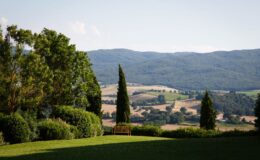  | Only on SopranoVillas