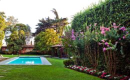 Lush backyard with a swimming pool surrounded by vibrant flowers and greenery, featuring a well-maintained lawn and tall hedges for privacy.