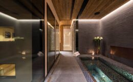 Modern spa interior featuring a serene jacuzzi, ambient lighting, and natural wood accents, creating a relaxing atmosphere for wellness and rejuvenation.