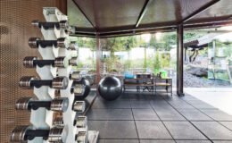 Home gym interior featuring a rack of dumbbells, an exercise ball, and a spacious workout area with large windows overlooking a garden. Ideal for fitness enthusiasts seeking a modern and well-lit exercise environment.