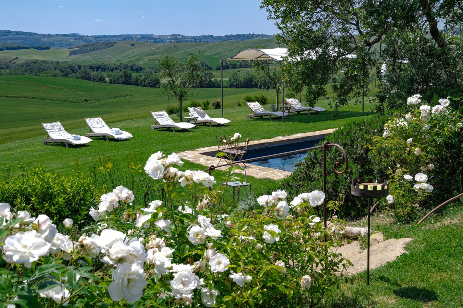 Lush green landscape with a serene swimming pool surrounded by white roses and loungers, offering a peaceful retreat in the countryside. | Only on SopranoVillas