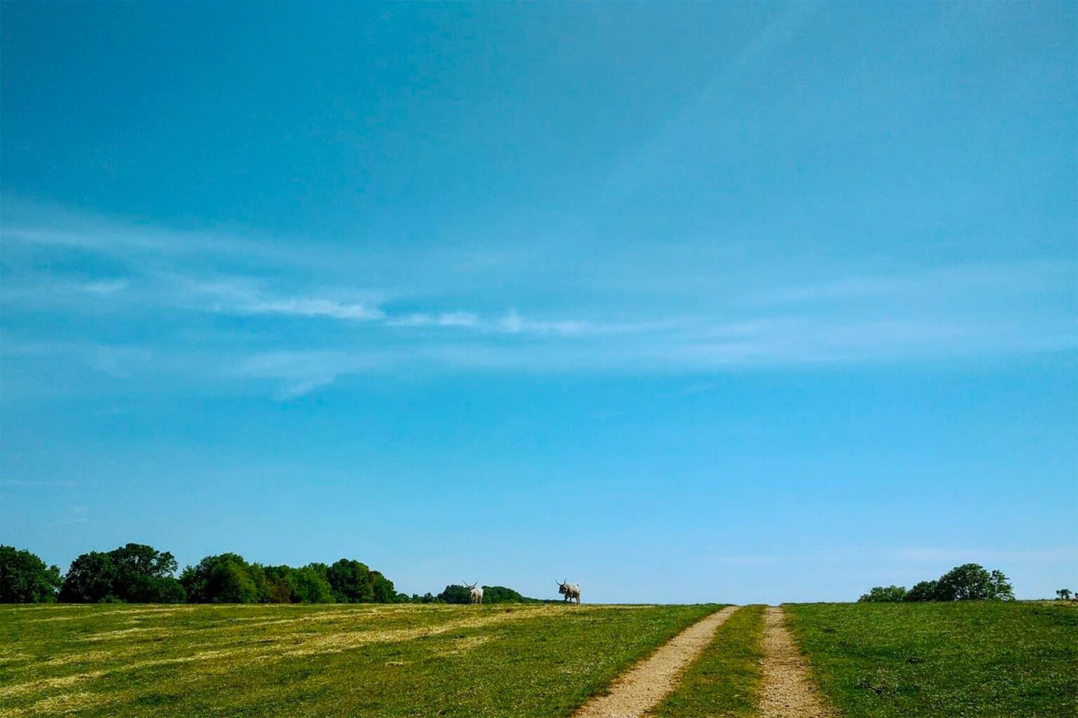 Rome Countryside Luxury Estate | Lazio image 39 | Only on SopranoVillas