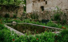 Serene garden scene featuring a small pond surrounded by lush greenery and blooming flowers, with rustic stone walls in the background.