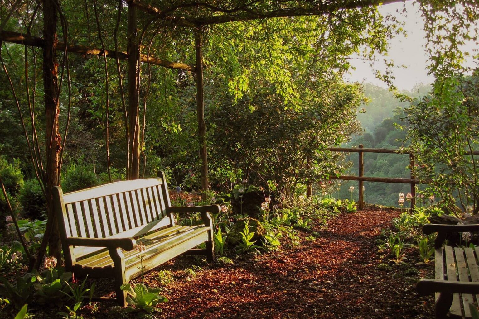 Serene garden scene featuring a wooden bench under a leafy arbor, surrounded by lush greenery and a tranquil pathway, ideal for relaxation and nature appreciation. | Only on SopranoVillas