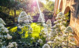 Lush garden scene featuring tall white flowers in bloom, with sunlight streaming through trees and illuminating a green lawn, framed by a brick archway.