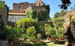 Lush garden with potted plants surrounded by ancient stone walls and ruins under a clear blue sky.
