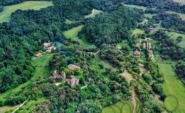 Aerial view of a lush green landscape featuring a mix of forested areas and open fields, with scattered buildings nestled among the trees, showcasing the natural beauty of the countryside.