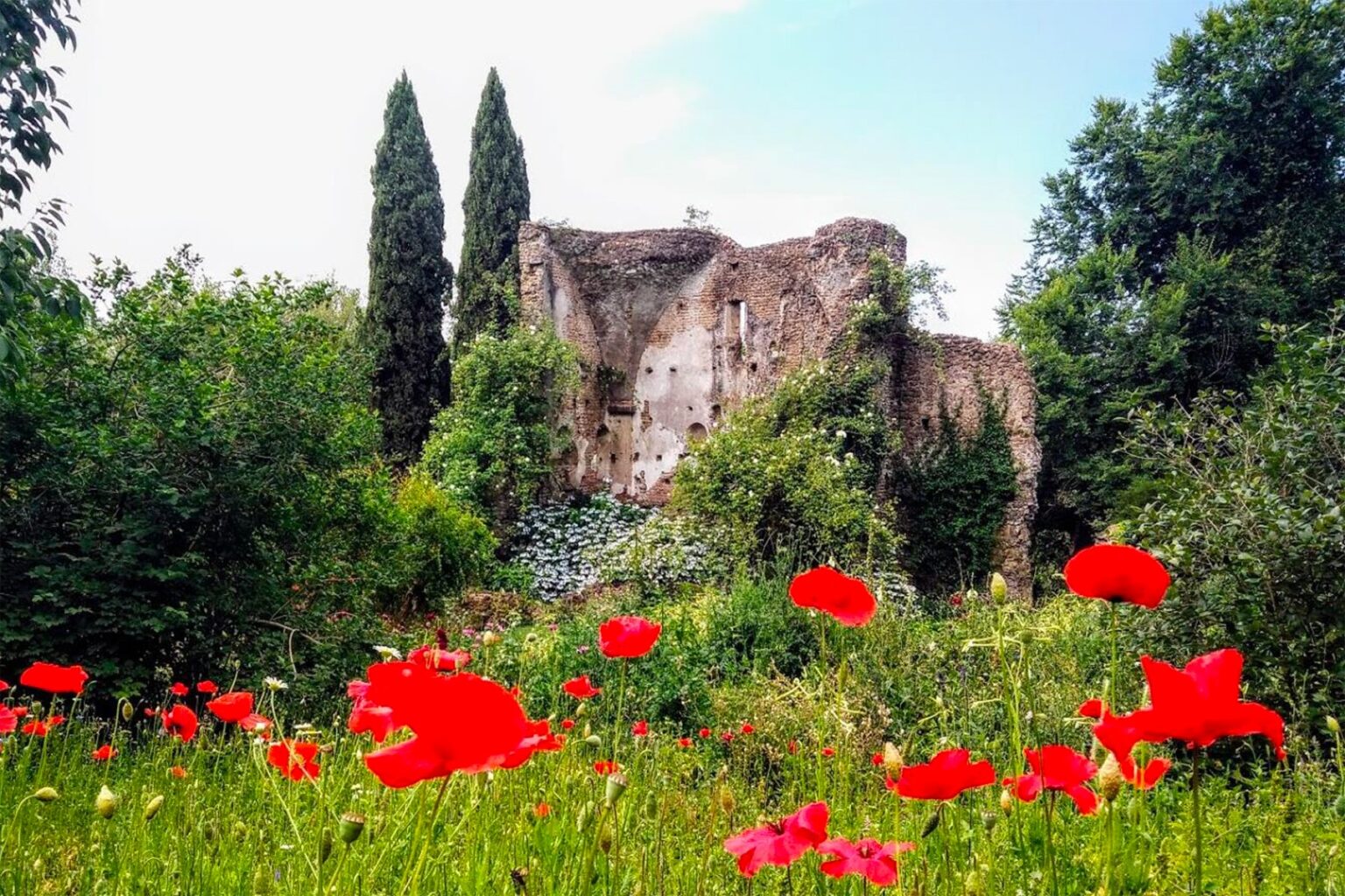Ruined stone building surrounded by lush greenery and vibrant red poppies under a clear blue sky. | Only on SopranoVillas