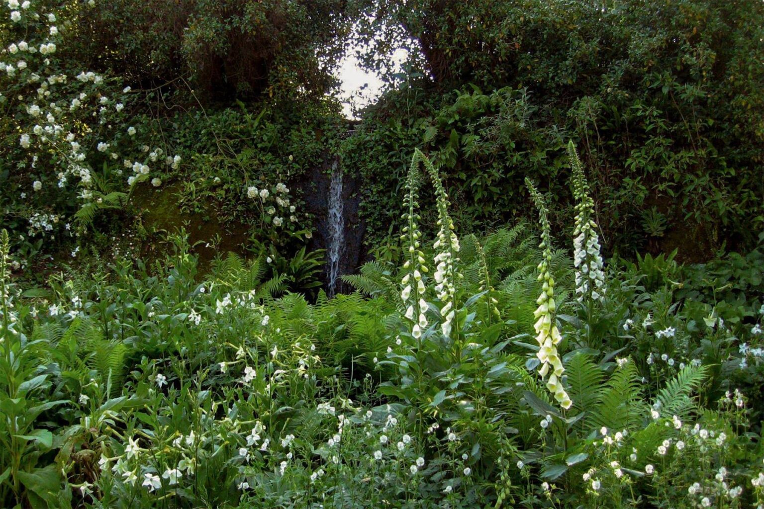 Lush green garden featuring tall foxglove flowers and a small waterfall surrounded by dense foliage, creating a serene and tranquil natural setting. | Only on SopranoVillas