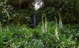 Lush green garden featuring tall foxglove flowers and a small waterfall surrounded by dense foliage, creating a serene and tranquil natural setting.