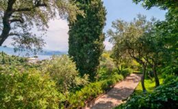 Lush garden pathway lined with tall trees and vibrant greenery, leading to a scenic view of the landscape.