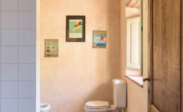 Cozy bathroom interior featuring a white toilet, rustic wooden door, and framed art on a textured peach wall, with a window allowing natural light.