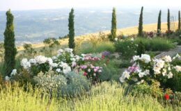 | Only on SopranoVillas