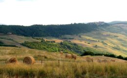  | Only on SopranoVillas