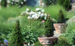  | Only on SopranoVillas