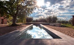 Modern outdoor swimming pool reflecting clouds and sunlight, surrounded by landscaped garden and olive trees, with a rustic building in the background.